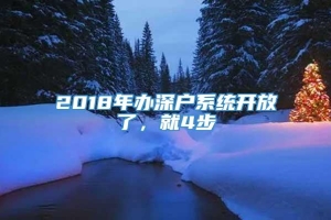 2018年办深户系统开放了，就4步