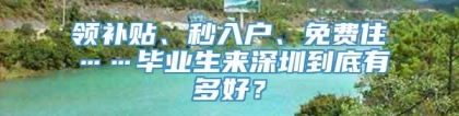 领补贴、秒入户、免费住……毕业生来深圳到底有多好？