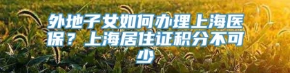 外地子女如何办理上海医保？上海居住证积分不可少