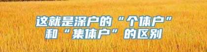 这就是深户的“个体户”和“集体户”的区别