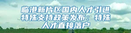 临港新片区国内人才引进特殊支持政策发布：特殊人才直接落户