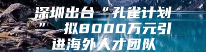 深圳出台“孔雀计划” 拟8000万元引进海外人才团队