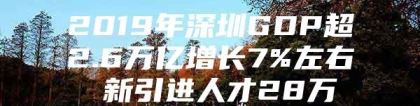 2019年深圳GDP超2.6万亿增长7%左右 新引进人才28万