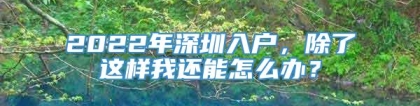 2022年深圳入户，除了这样我还能怎么办？