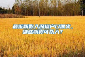 最近职称入深圳户口很火，哪些职称可以入？