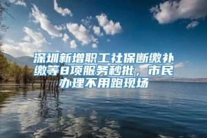 深圳新增职工社保断缴补缴等8项服务秒批，市民办理不用跑现场