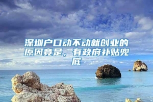 深圳户口动不动就创业的原因竟是，有政府补贴兜底