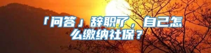 「问答」辞职了，自己怎么缴纳社保？