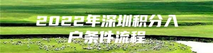 2022年深圳积分入户条件流程