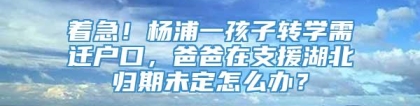 着急！杨浦一孩子转学需迁户口，爸爸在支援湖北归期未定怎么办？