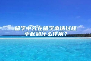 留学中介在留学申请过程中起到什么作用？