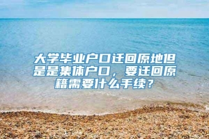 大学毕业户口迁回原地但是是集体户口，要迁回原籍需要什么手续？