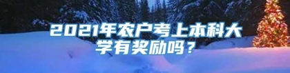 2021年农户考上本科大学有奖励吗？