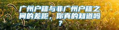 广州户籍与非广州户籍之间的差距，你真的知道吗？