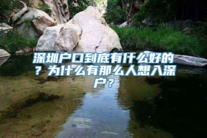 深圳户口到底有什么好的？为什么有那么人想入深户？