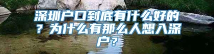 深圳户口到底有什么好的？为什么有那么人想入深户？