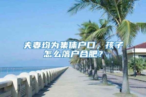 夫妻均为集体户口，孩子怎么落户合肥？