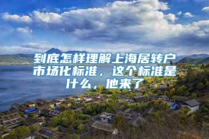 到底怎样理解上海居转户市场化标准，这个标准是什么，他来了