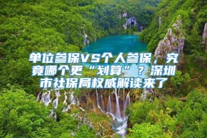 单位参保VS个人参保，究竟哪个更“划算”？深圳市社保局权威解读来了