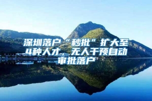 深圳落户“秒批”扩大至4种人才，无人干预自动审批落户