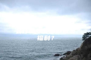 深圳人才引进 注册会计师享受哪些政策福利？