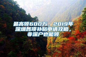 最高领600万，2019年深圳各项补贴申请攻略，非深户也能领