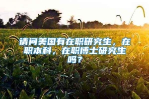 请问美国有在职研究生，在职本科，在职博士研究生吗？