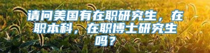 请问美国有在职研究生，在职本科，在职博士研究生吗？