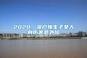 2020，深户独生子女人身伤害意外险