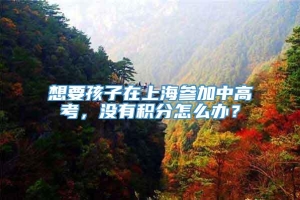 想要孩子在上海参加中高考，没有积分怎么办？