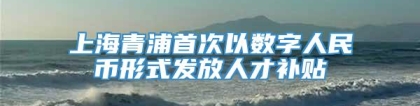 上海青浦首次以数字人民币形式发放人才补贴