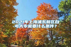 2021年上海浦东新区自考大专需要什么条件？