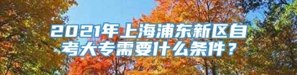 2021年上海浦东新区自考大专需要什么条件？