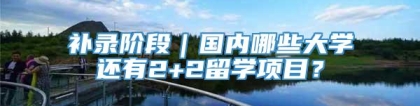 补录阶段｜国内哪些大学还有2+2留学项目？