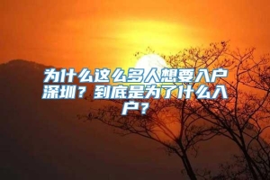 为什么这么多人想要入户深圳？到底是为了什么入户？