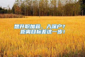 想升职加薪、入深户？ 距离目标差这一步！