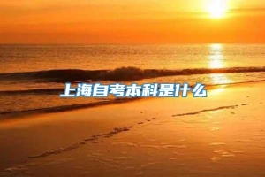 上海自考本科是什么