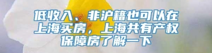 低收入、非沪籍也可以在上海买房，上海共有产权保障房了解一下