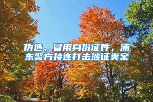 伪造、冒用身份证件，浦东警方接连打击涉证类案