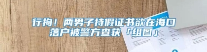 行拘！两男子持假证书欲在海口落户被警方查获「组图」