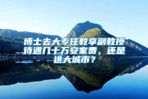 博士去大专任教享副教授待遇几十万安家费，还是进大城市？