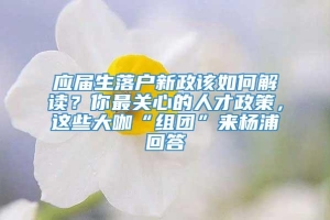 应届生落户新政该如何解读？你最关心的人才政策，这些大咖“组团”来杨浦回答