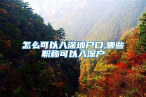 怎么可以入深圳户口,哪些职称可以入深户