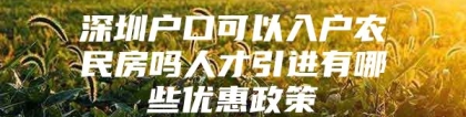 深圳户口可以入户农民房吗人才引进有哪些优惠政策