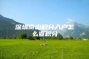 深圳南山积分入户怎么查积分