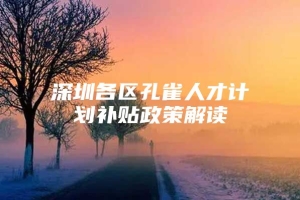 深圳各区孔雀人才计划补贴政策解读