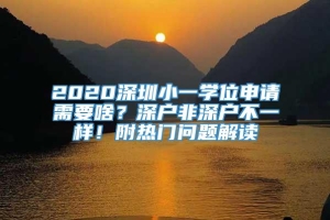 2020深圳小一学位申请需要啥？深户非深户不一样！附热门问题解读