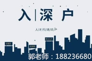 2022年深圳市人才引进系统