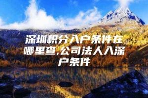 深圳积分入户条件在哪里查,公司法人入深户条件