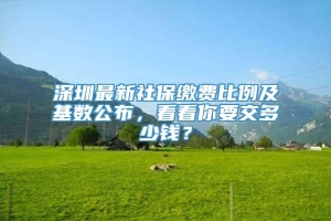 深圳最新社保缴费比例及基数公布，看看你要交多少钱？